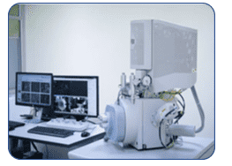 Confocal Laser Scanning Microscopy (CLSM)